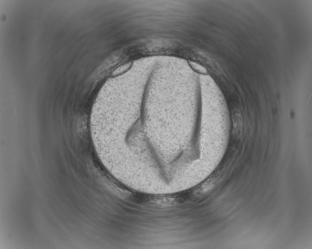 X0000067900278200605111925