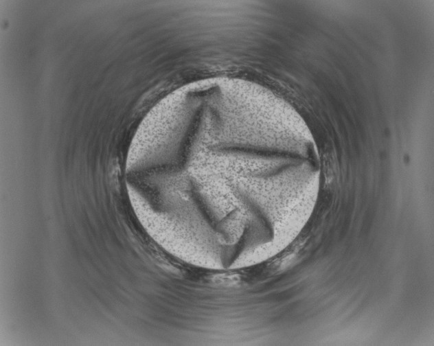 X0000067900279200605111925