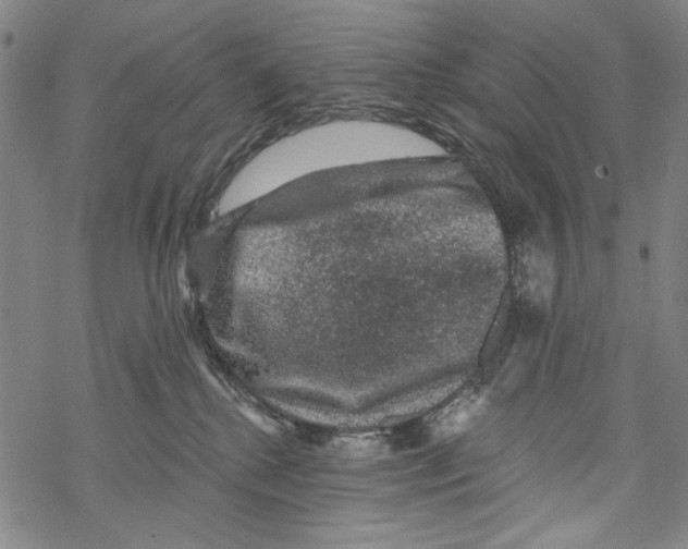 X0000067900280200605111925