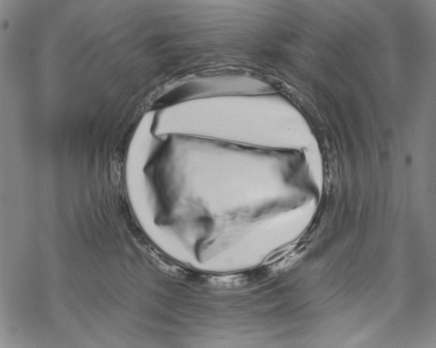 X0000067900281200605111925