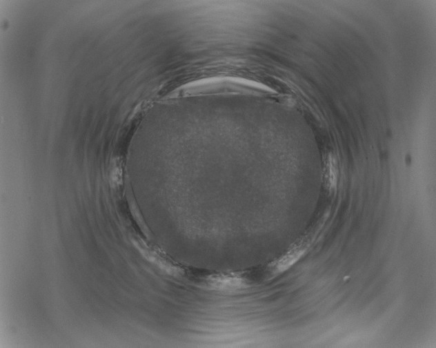 X0000067900284200605111925