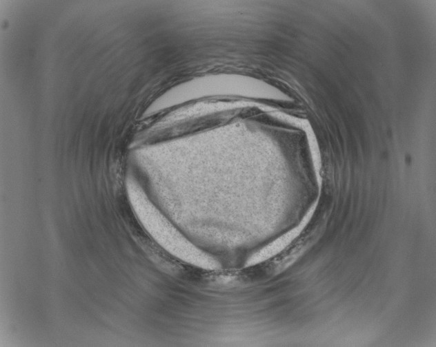 X0000067900285200605111925