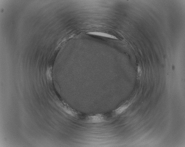 X0000067900286200605111925