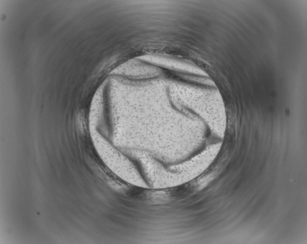 X0000067900287200605111925