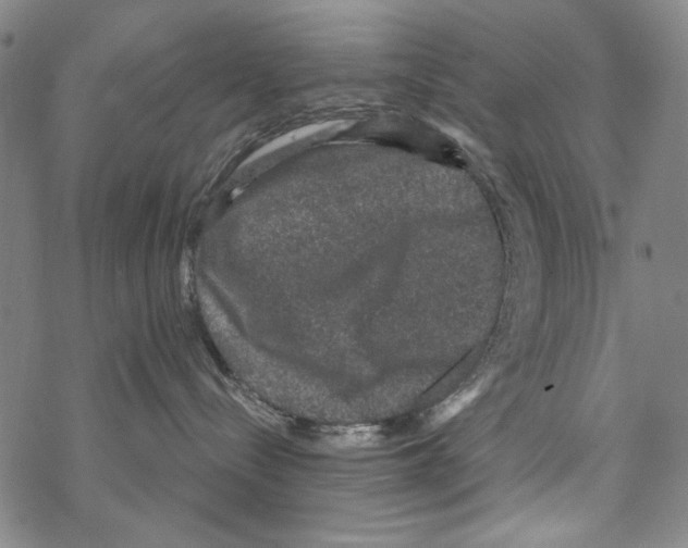 X0000067900288200605111925