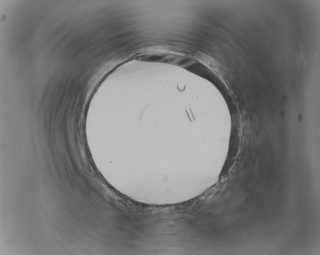 X0000067900289200605111924