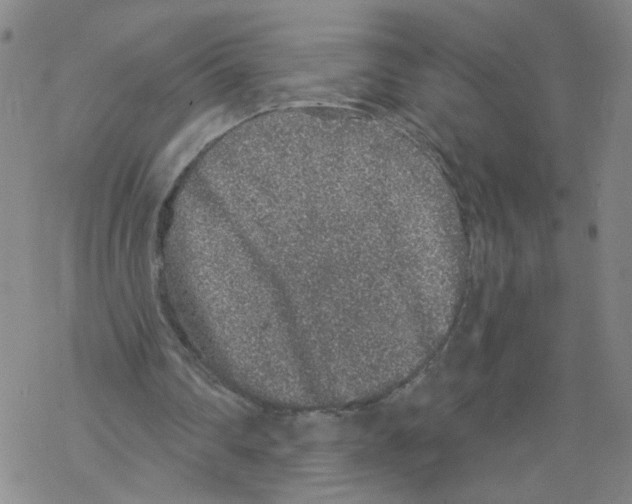 X0000067900290200605111924