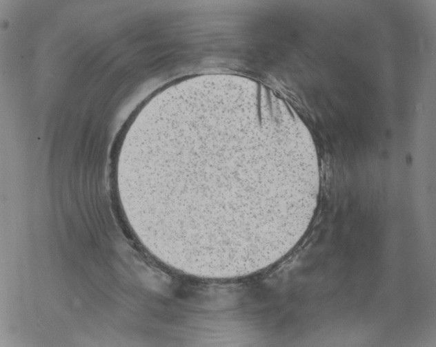 X0000067900292200605111924