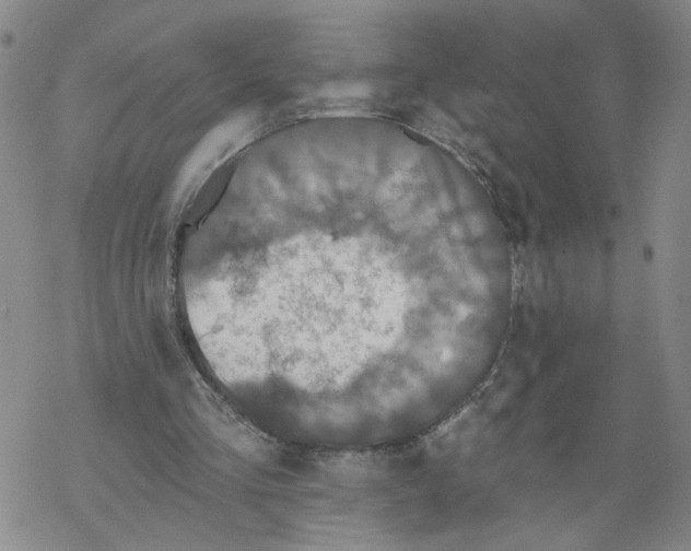 X0000067900293200605111924