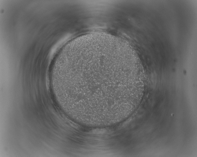 X0000067900294200605111924