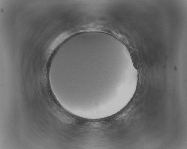 X0000067900295200605111924