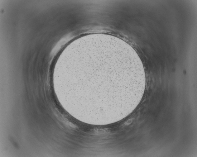 X0000067900296200605111924