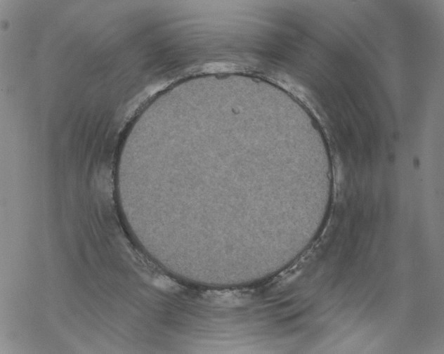 X0000067900297200605111924