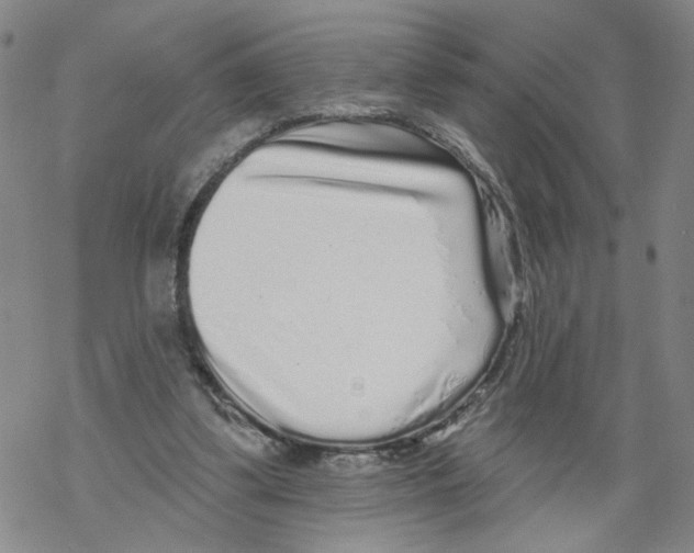 X0000067900299200605111924