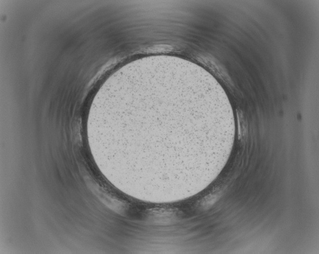 X0000067900300200605111924