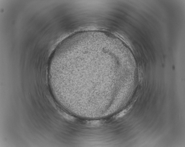 X0000067900301200605111924