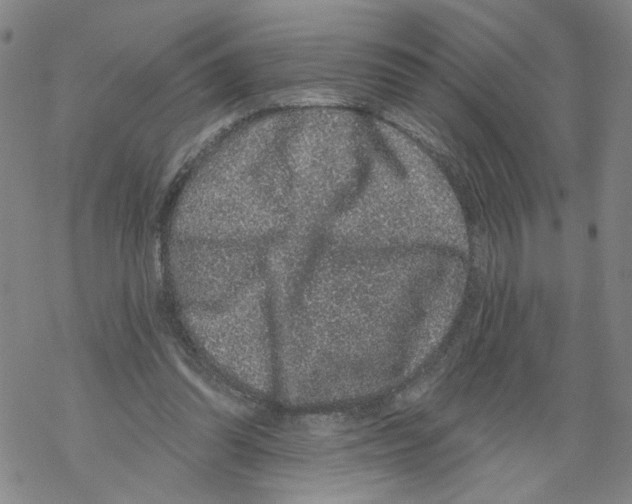 X0000067900302200605111924