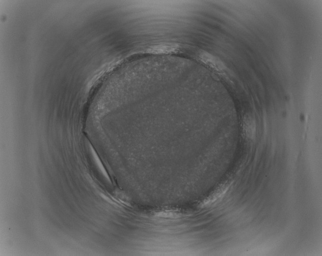 X0000067900303200605111924