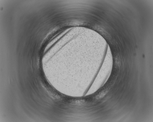 X0000067900304200605111924