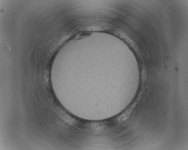 X0000067900305200605111924