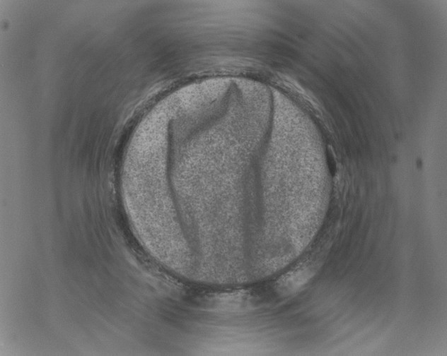 X0000067900306200605111924