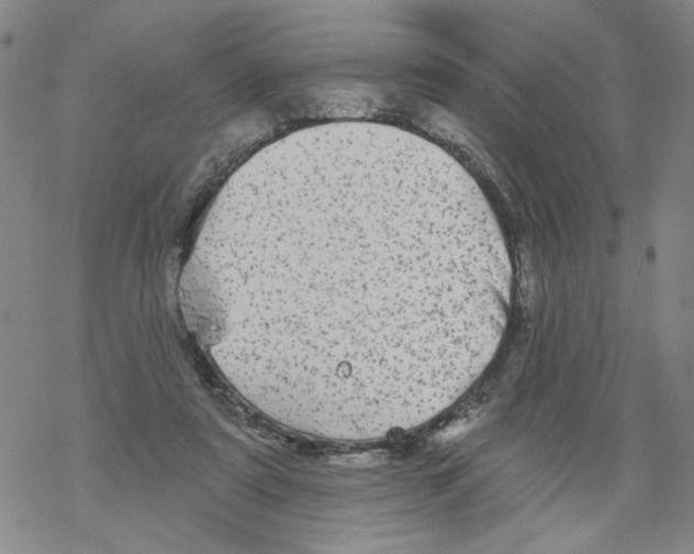 X0000067900307200605111924