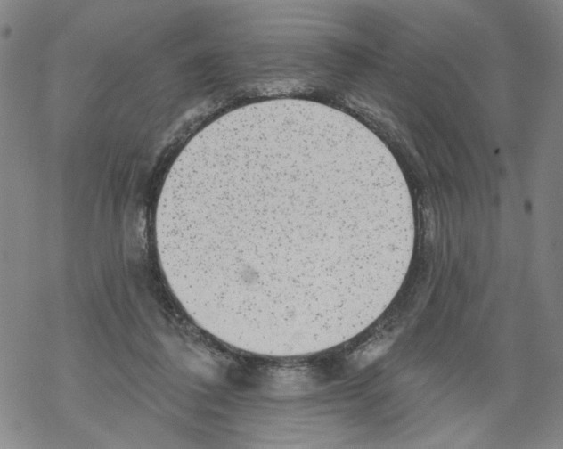 X0000067900308200605111924