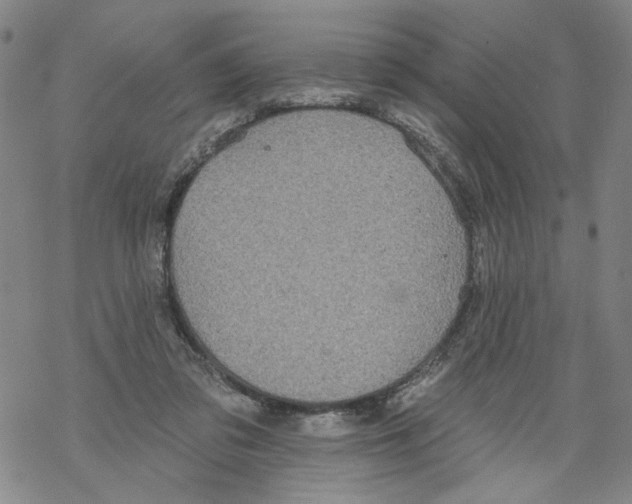 X0000067900309200605111924