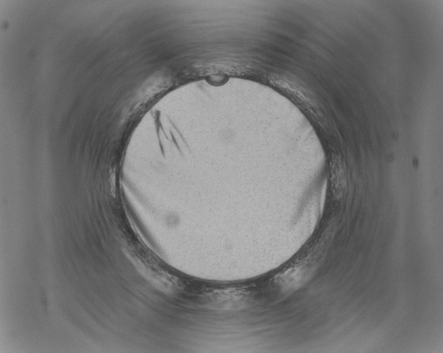 X0000067900310200605111924