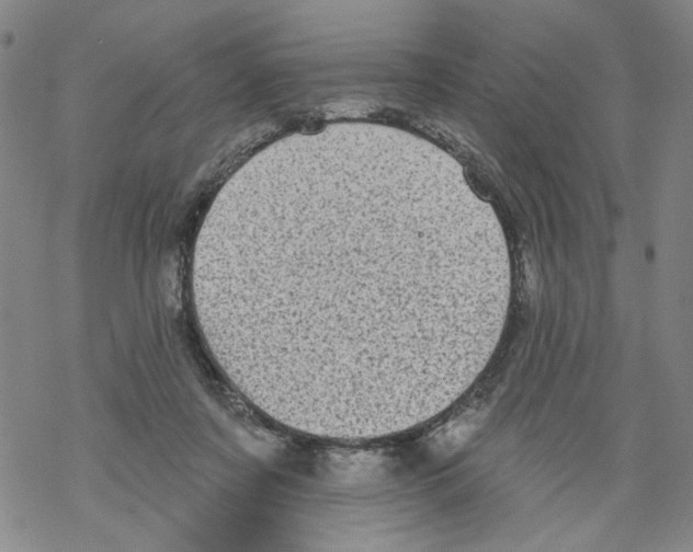 X0000067900311200605111924