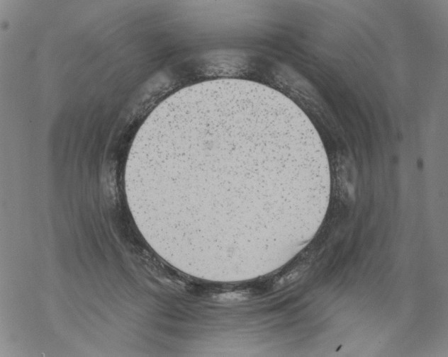 X0000067900312200605111924