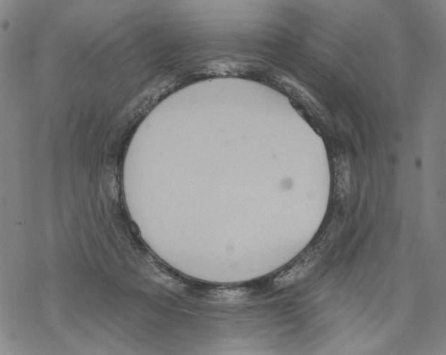 X0000067900313200605111924