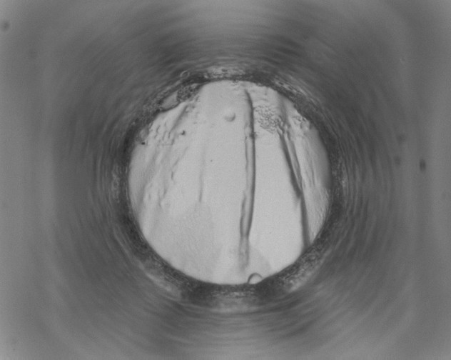 X0000067900315200605111924