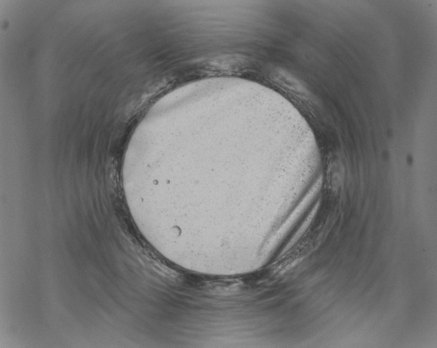 X0000067900318200605111924