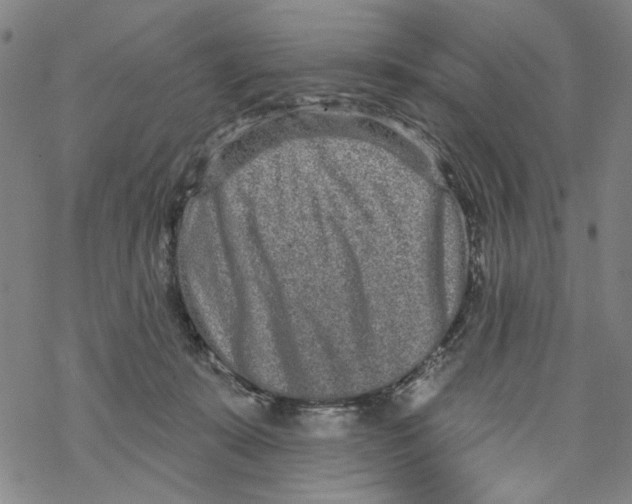 X0000067900319200605111924