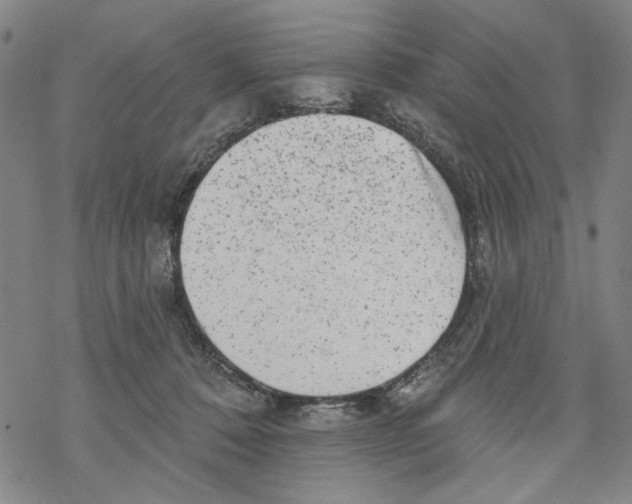 X0000067900320200605111924