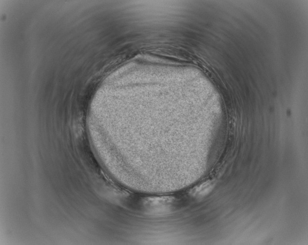 X0000067900323200605111924