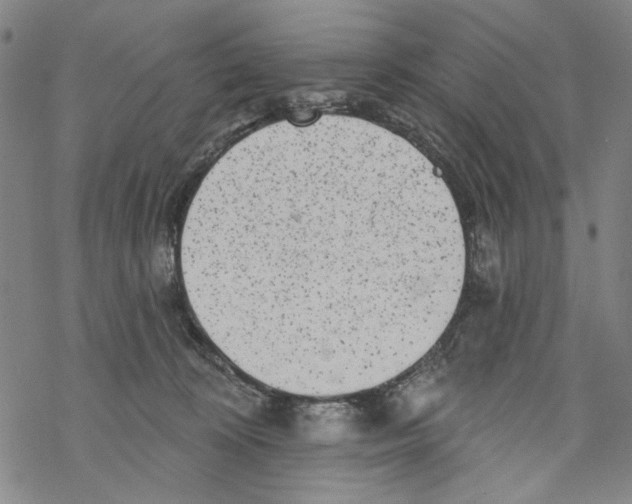 X0000067900324200605111924