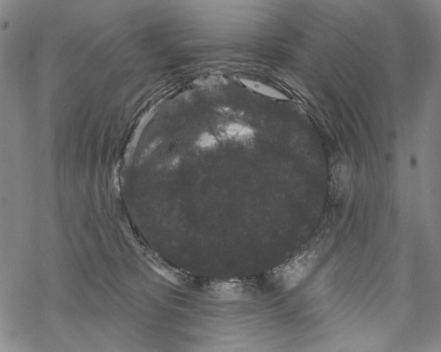 X0000067900325200605111924