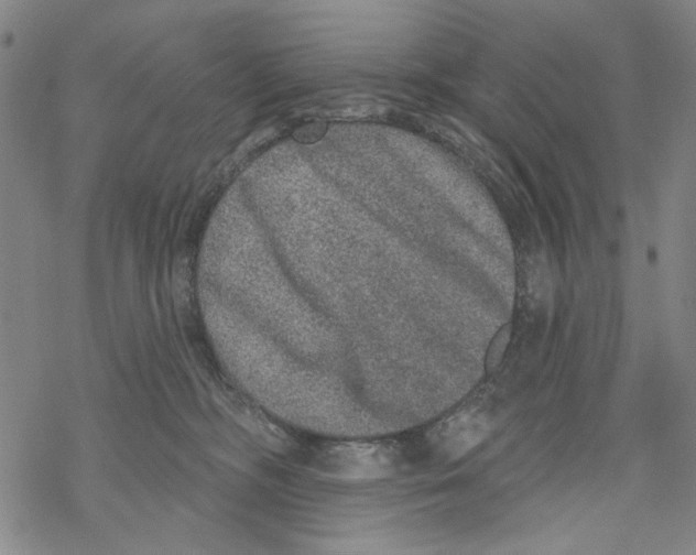 X0000067900326200605111924