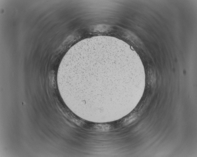 X0000067900328200605111924