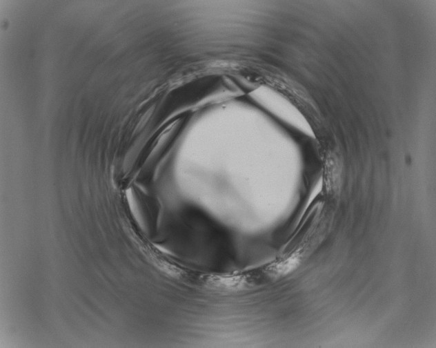 X0000067900329200605111924