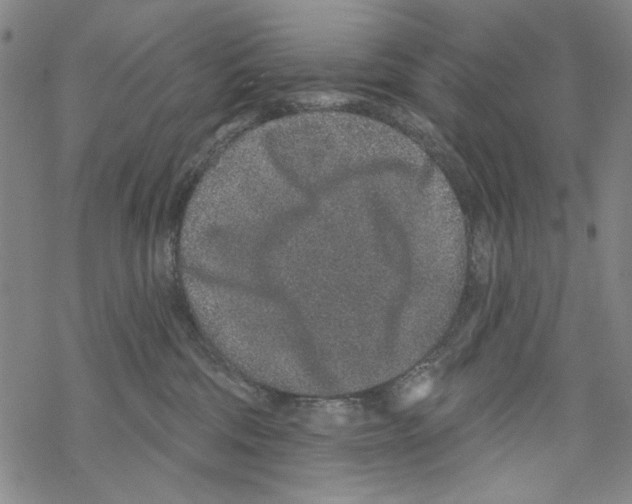 X0000067900330200605111924