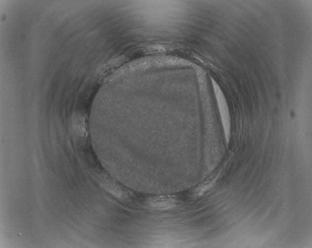 X0000067900331200605111924