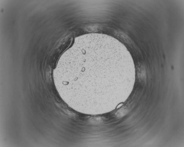 X0000067900332200605111924