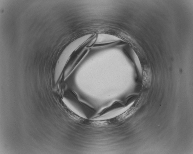 X0000067900333200605111924