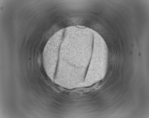 X0000067900334200605111924