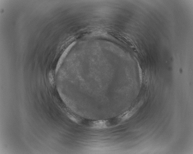 X0000067900335200605111924