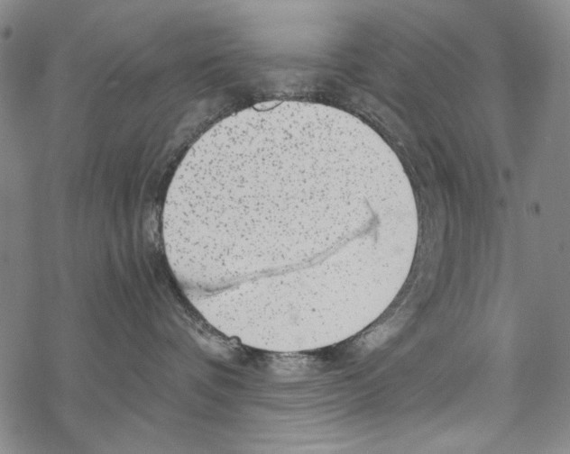 X0000067900336200605111923