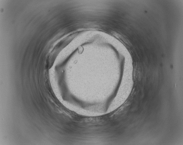 X0000067900338200605111923